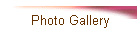 Photo Gallery