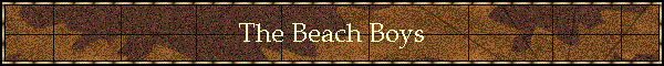 The Beach Boys Banner