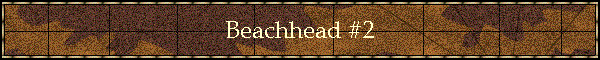 Beachead Banner